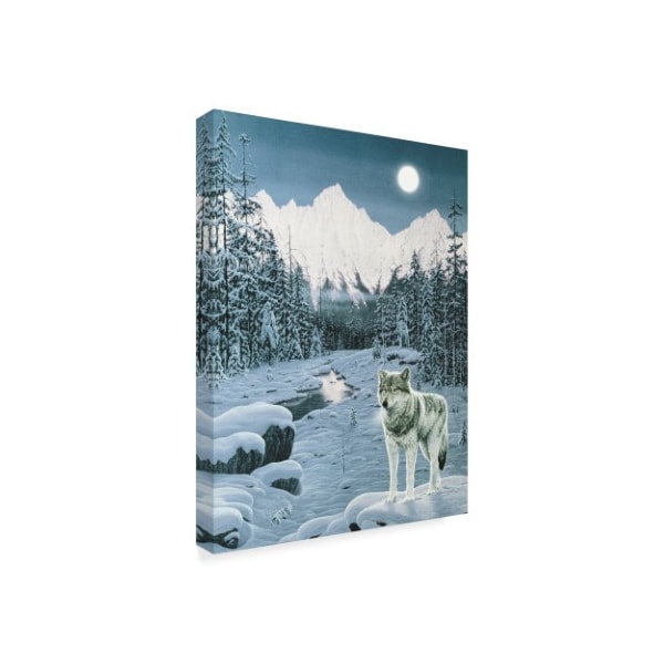 Jeff Tift 'Winter Twilight' Canvas Art,35x47